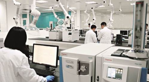 一碗泡面背后的努力 康師傅連續(xù)十次斬獲食安管理十強企業(yè)