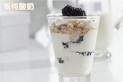 蒙牛牛奶代理商加盟條件全解析 投資者能否輕松加入？